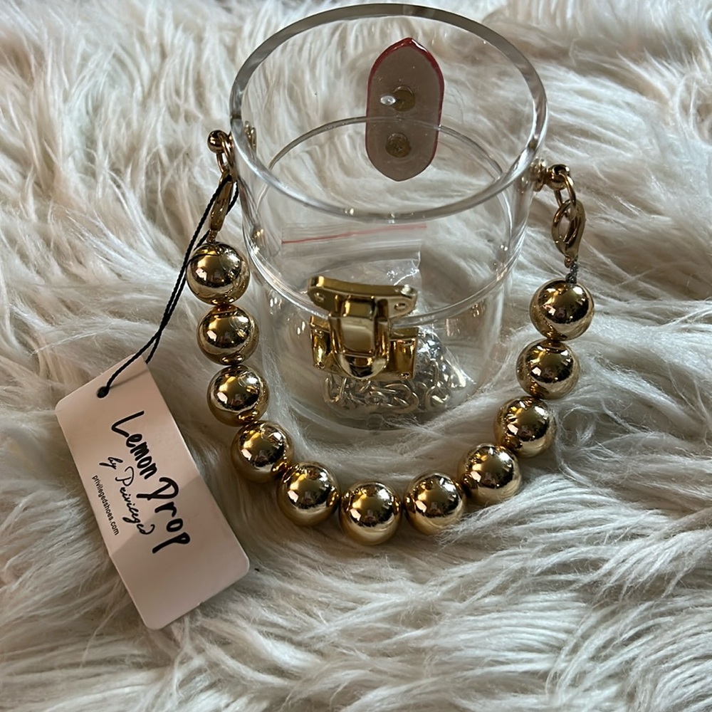 Privileged Acrylic Mini Purse